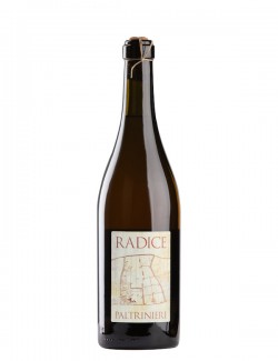 Radice Lambrusco Sorbara DOC  Paltrinieri 0,75 l