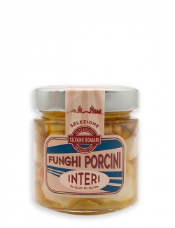 Funghi porcini testa bianca interi 